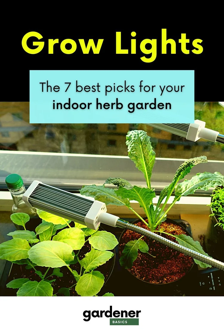 The Best Grow Lights for Herbs A Comprehensive Review — Gardening